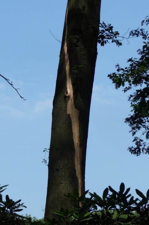 Lichtflits knal en litteken.