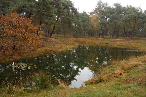 Herfst 2011