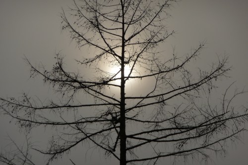 3 november 2011. Max. temp. Bijna 19 graden Celcius. Is dat normaal?