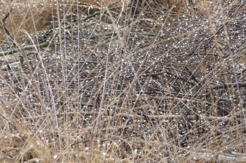 Kijk, allemaal kleine diamanten!!