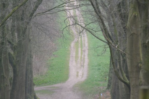 De weg naar nergens.