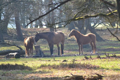 Alles lijkt nog rustig.