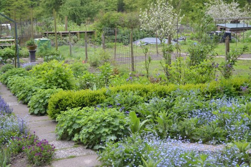 De moestuin in de lente. 