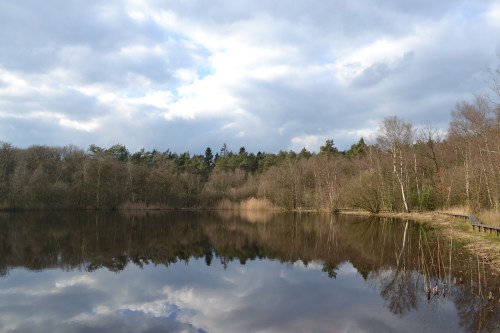 De Kreelse Plas. Wonderbaarlijke ecologische biotoop.